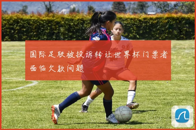 国际足联被投诉转让世界杯门票者面临欠款问题